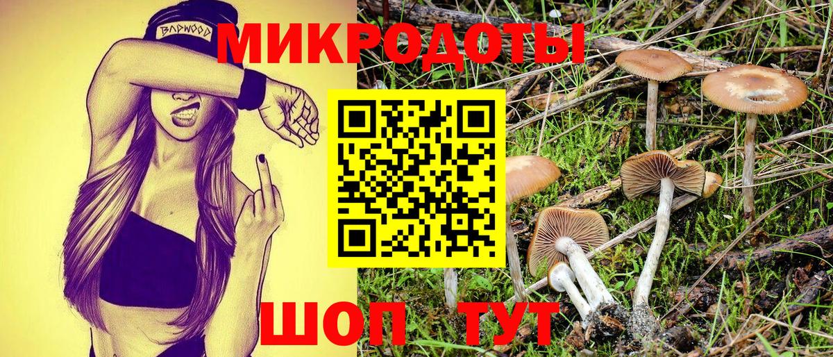 Галлюциногенные грибы Cubensis Иваново